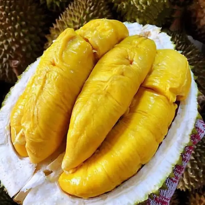Durian Bawor Banyumas