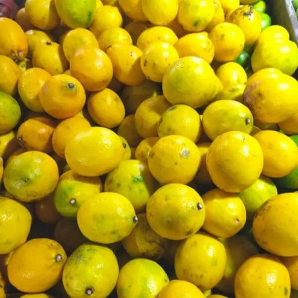 Buah Lemon - Lokal